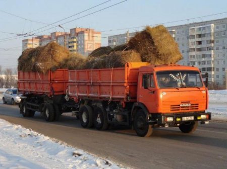 КамАЗ "Сільгоспник" 55102: універсальний вантажівка для аграрного сектора