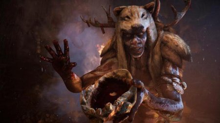 Far Cry Primal:    PC  