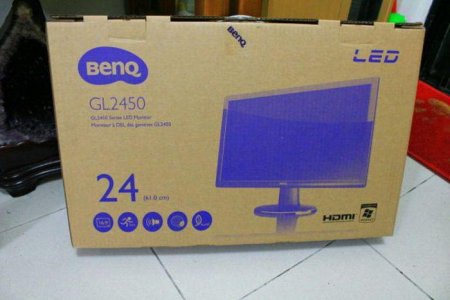  BenQ GL2450HM: , , 