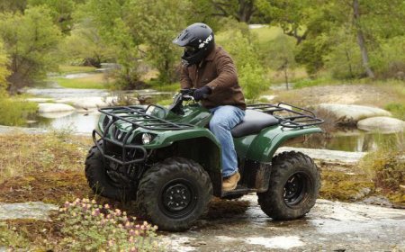  "" (Yamaha, Grizzly): ,   