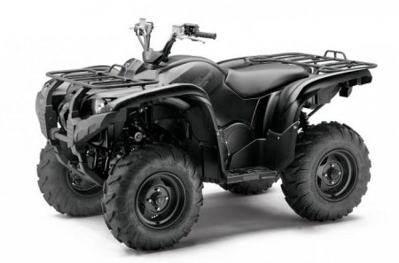  "" (Yamaha, Grizzly): ,   