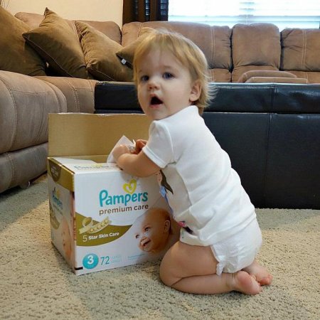 Pampers Premium Care 3:   