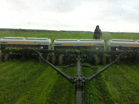  "-" (No-till) -    .  