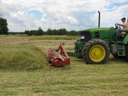  "-" (No-till) -    .  