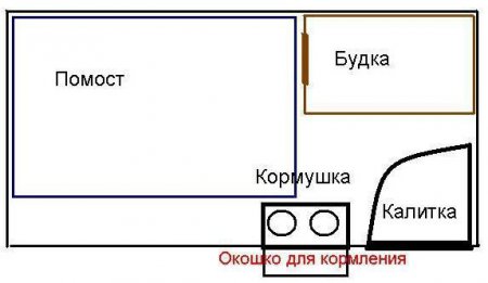     : , , .     ?     ?