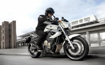 Yamaha XJ6:  ,  , 