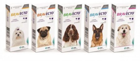   Bravecto ("")  : , , 