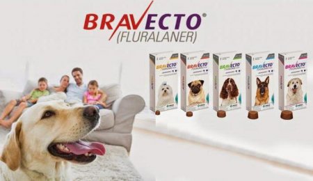   Bravecto ("")  : , , 