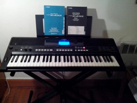  PSR-E433 Yamaha: ,   