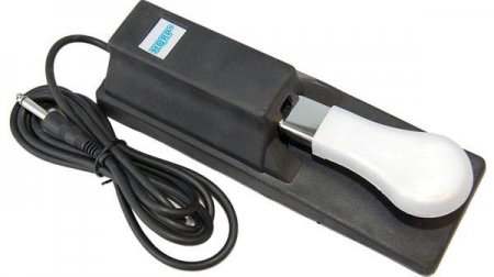  PSR-E433 Yamaha: ,   