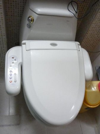 Туалет японська: яким він був і яким став