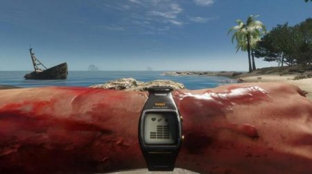    ,    ? Stranded Deep:     