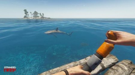    ,    ? Stranded Deep:     