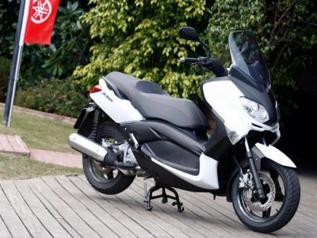 " - 500" (Yamaha T-Max 500):  ,   .  