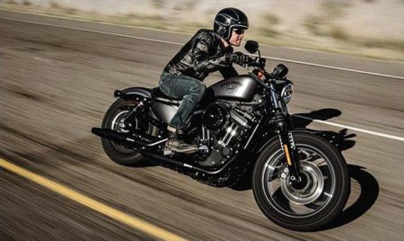 Harley Davidson Iron 883: 