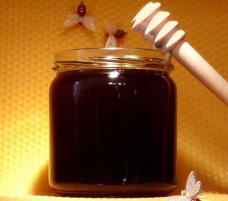 Мед темний: властивості та сорти. Як збирають темний мед