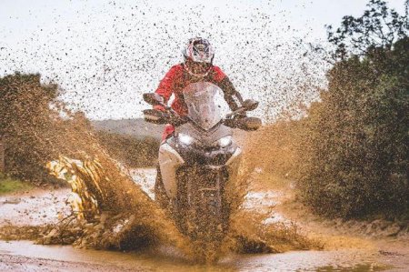  Ducati Multistrada 1200: ,    