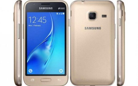  Samsung Galaxy J1 Mini j105H: 