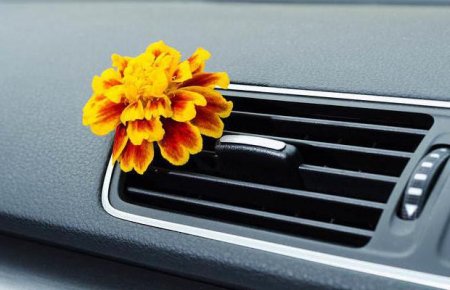 Як проводиться видалення запахів в автомобілі?