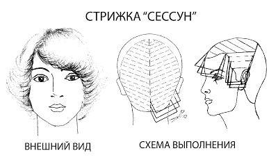 Схеми стрижки: покрокова інструкція, рекомендації та відгуки Схеми стрижки: покрокова інструкція, рекомендації та відгуки