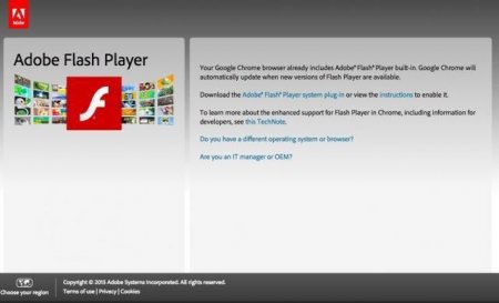 Adobe Flash Player:  .       ?