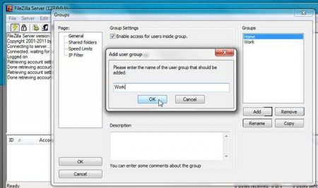 Filezilla Server:   