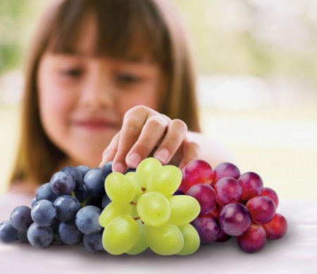 Коли дітям можна давати виноград і виноградний сік?