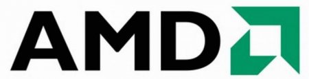  E-450: AMD       