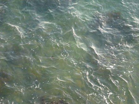 Сонник: каламутна вода. До чого сниться каламутна вода
