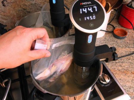 - -   ?     sous-vide