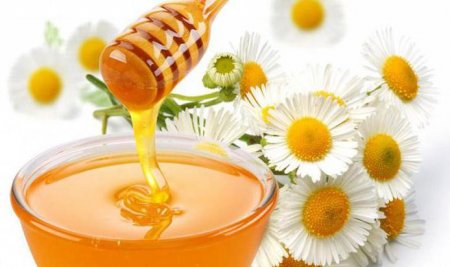 Як вибрати мед при покупці на ринку або в магазині?