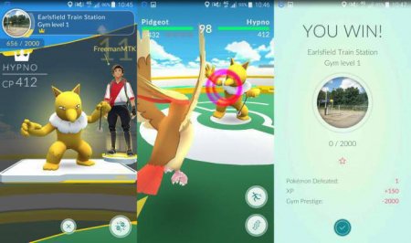     Pokemon GO:  ,   