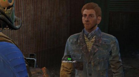  Fallout 4 :  ,      