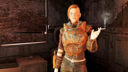  Fallout 4 :  ,      