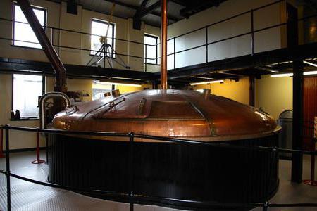 Віскі "Окентошен" (Auchentoshan): опис, особливості виробництва, відгуки Віскі "Окентошен" (Auchentoshan): опис, особливості виробництва, відгуки