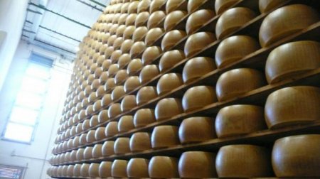 - (Parmigiano-Reggiano) -  . : , 