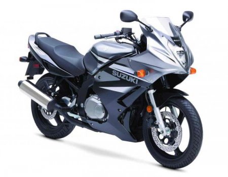 Suzuki GS500F -   