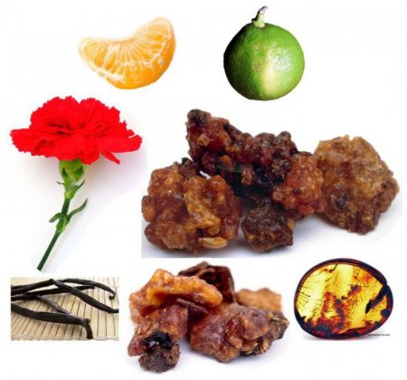   "" (YSL Opium):  , 