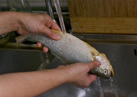 Як швидко почистити рибу від луски? Ніж для чищення риби