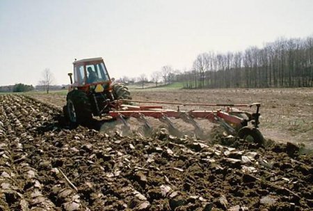 Оранка землі трактором: переваги і недоліки механізованої обробки грунту