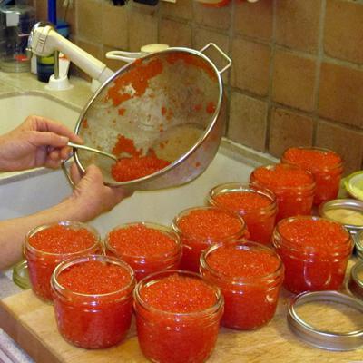 Як очистити ікру від плівок в домашніх умовах: корисні поради Як очистити ікру від плівок в домашніх умовах: корисні поради