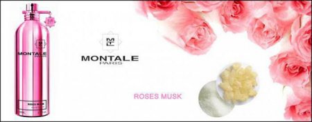  Montale Rose Musk: ,  , 