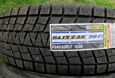  Bridgestone Blizzak DM-V1: . Bridgestone Blizzak DM-V1:  