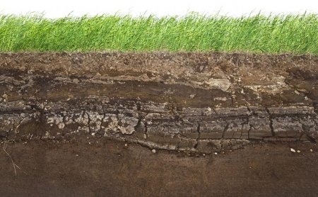 Бонітування ґрунтів - це Поняття, значення, методика, етапи, цілі та економічна доцільність