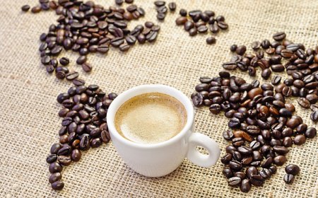Бразильська кава: найкращі сорти і способи заварювання