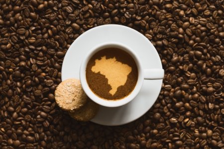 Бразильська кава: найкращі сорти і способи заварювання