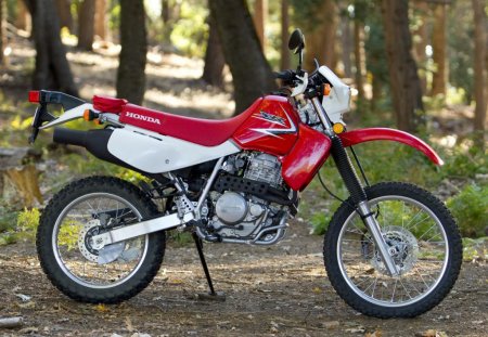 Honda XR 650:     