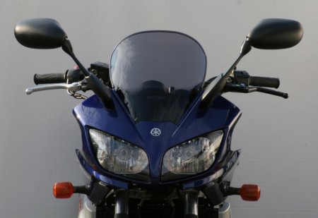   Yamaha FZS 1000