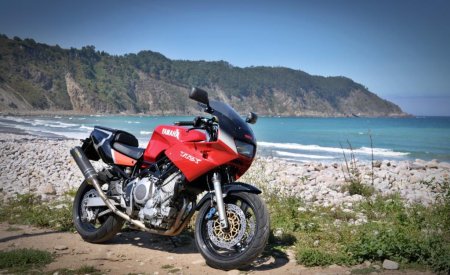   Yamaha TRX 850: ,  , 